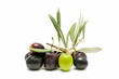 fresh olives