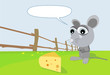 Rat with cheese