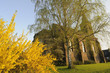 katholische Kirche St. Cyriacus