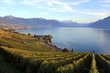 Lavaux vineyards, Switzerland Lavaux vineyards, Switzerland