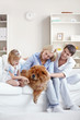 Family and household pet