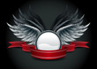 Angel banner