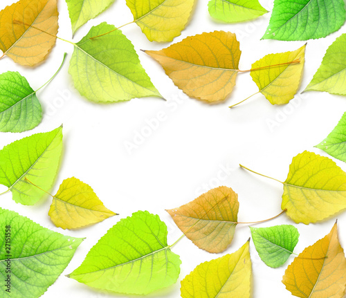 Photo: autumn autumn