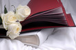 rose and albom