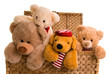 teddys in a toy chest