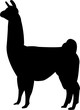 lama silhouette - vector