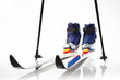 Cross country skis and shoes