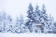 Winter landscape