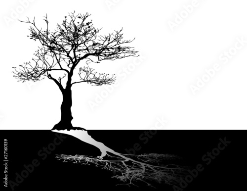 Vector: black tree on white sky black tree on white sky