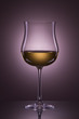 Still-life with the wine glass Still-life with the wine glass