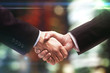 handshake of two business people