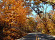Pig Trail of North Arkansas