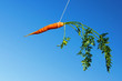 Orange carrot in the sky