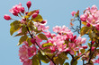 Frühling