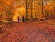 Autumn horseback riding