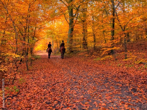 Photo: Autumn horseback riding Autumn horseback riding