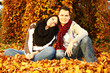 Wiese