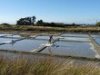 Marais salants