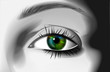 realistic eye illustration