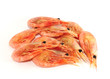 Prawns