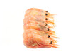 Prawns