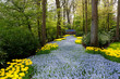 Beautiful Flower Garden