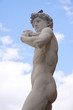 David de michel ange  piazza della signora