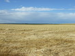 Paysage de beauce
