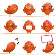 cute birds