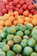 rainbow of tomatoes rainbow of tomatoes