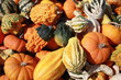 squash and gourds squash and gourds
