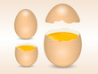 egg
