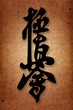 MARTIAL ARTS.karate kyokushinkai Mas Oyama Style.