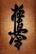 karatekyokushinkai Mas Oyama Style.original background