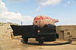 The 100-ton gun, world's largest cannon. Fort Rinella. Malta The 100-ton gun, world's largest cannon. Fort Rinella. Malta