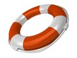 Orange 3d preserver