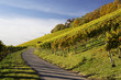 Weinberg Kappelberg Weinberg Kappelberg