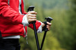 Nordic Walking hands