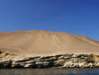 Kaktus -  Paracas national park