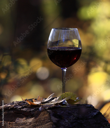 Photo: herbstlich herbstlich
