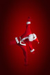 Santa