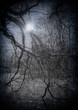 grunge image of dark forest, perfect halloween background
