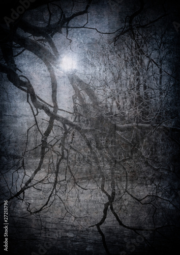 Photo: grunge image of dark forest, perfect halloween background grunge image of dark forest, perfect halloween background