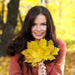 Foto: Beautiful woman spending time in park during autumn season Beautiful woman spending time in park during autumn season