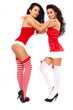 Two Christmas Beauty on white background