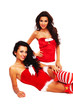 Two Christmas Beauty on white background