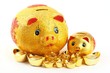 Chinese new year decoration