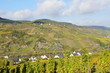 Reiler Heißer Stein und Burg