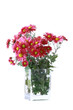 Autumn flowers