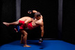 Mixed Martial Artists Fighting